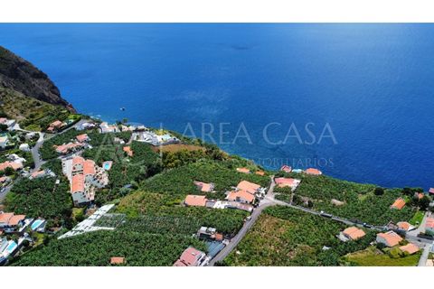 Helårsgrund i Arco da Calheta, Madeira, Arco da Calheta - € 1.800.000 | Ref: TER_118 - foto 21