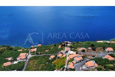 Helårsgrund i Arco da Calheta, Madeira, Arco da Calheta - € 1.800.000 | Ref: TER_118 - foto 22