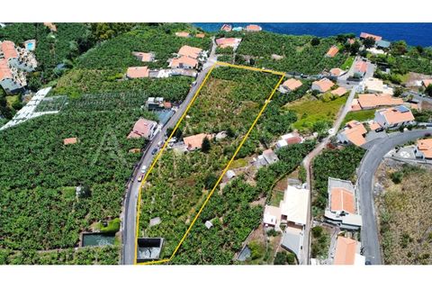 Helårsgrund i Arco da Calheta, Madeira, Arco da Calheta - € 1.800.000 | Ref: TER_118 - foto 23