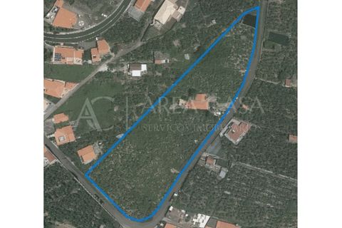Helårsgrund i Arco da Calheta, Madeira, Arco da Calheta - € 1.800.000 | Ref: TER_118 - foto 24