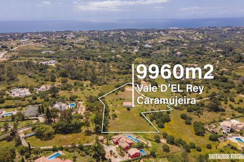 Helårsgrund i Lagoa, Faro, Lagoa - € 1.075.000 | Ref: ww_car119p - foto 13
