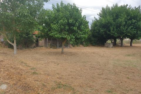 Byhus i Guardea, Terni, Guardea - € 75.000 | Ref: guardea14-1 - foto 7