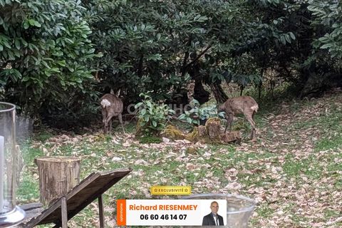 Villa a Saint-Cheron, Essonne, Saint-Cheron - € 58.000 | Ref: 830038893895 - foto 5