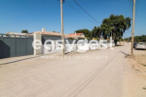 Villa i Quinta do Anjo, Setubal, Quinta do Anjo - € 1.000.000 | Ref: ST93903AC - foto 2