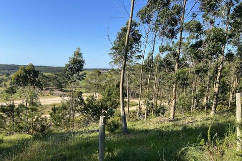 Helårsgrund i Matacaes, Lisbon, Matacaes - € 2.274.000 | Ref: MM97212MC - foto 5