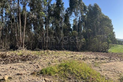 Helårsgrund i Matacaes, Lisbon, Matacaes - € 2.274.000 | Ref: MM97212MC - foto 6