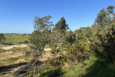Helårsgrund i Matacaes, Lisbon, Matacaes - € 2.274.000 | Ref: MM97212MC - foto 9