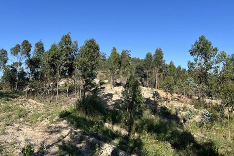Helårsgrund i Matacaes, Lisbon, Matacaes - € 2.274.000 | Ref: MM97212MC - foto 12