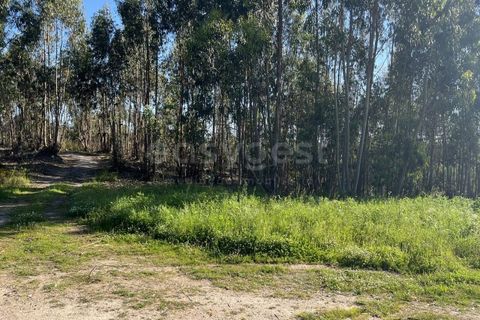 Helårsgrund i Matacaes, Lisbon, Matacaes - € 2.274.000 | Ref: MM97212MC - foto 13