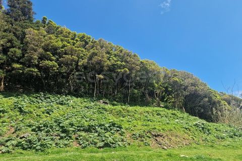 Villa a Ilha do Faial, Faial, Ilha do Faial - € 40.000 | Ref: AZ97199MK - foto 8