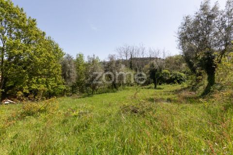 Helårsgrund i Arganil, Coimbra, Arganil - € 39.900 | Ref: ZMPT576414 - foto 17