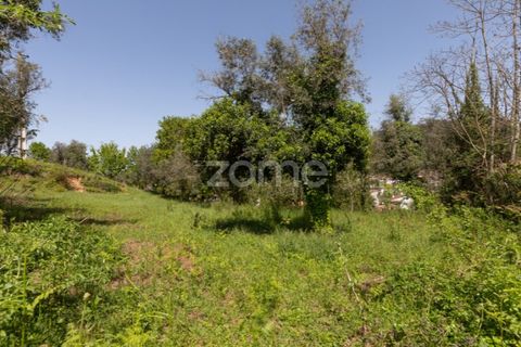 Helårsgrund i Arganil, Coimbra, Arganil - € 39.900 | Ref: ZMPT576414 - foto 20