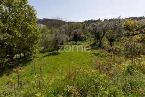 Helårsgrund i Arganil, Coimbra, Arganil - € 39.900 | Ref: ZMPT576414 - foto 1