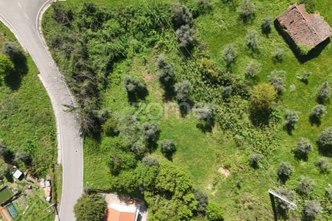 Helårsgrund i Arganil, Coimbra, Arganil - € 39.900 | Ref: ZMPT576414 - foto 15