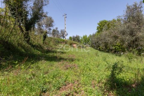 Helårsgrund i Arganil, Coimbra, Arganil - € 39.900 | Ref: ZMPT576414 - foto 19