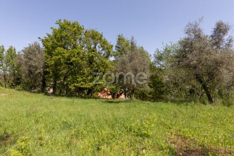 Helårsgrund i Arganil, Coimbra, Arganil - € 39.900 | Ref: ZMPT576414 - foto 18