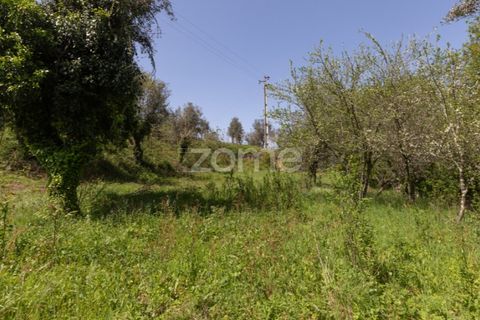 Helårsgrund i Arganil, Coimbra, Arganil - € 39.900 | Ref: ZMPT576414 - foto 21