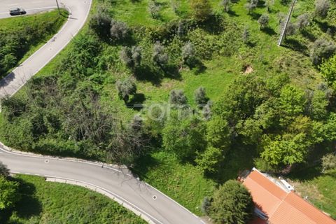 Helårsgrund i Arganil, Coimbra, Arganil - € 39.900 | Ref: ZMPT576414 - foto 6