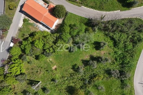 Helårsgrund i Arganil, Coimbra, Arganil - € 39.900 | Ref: ZMPT576414 - foto 13
