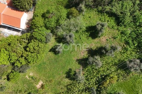 Helårsgrund i Arganil, Coimbra, Arganil - € 39.900 | Ref: ZMPT576414 - foto 14