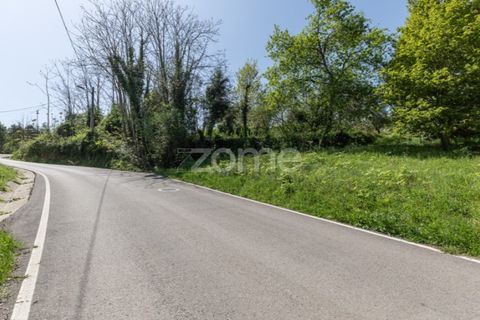 Helårsgrund i Arganil, Coimbra, Arganil - € 39.900 | Ref: ZMPT576414 - foto 16