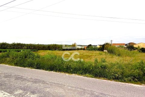 Helårsgrund i Torres Vedras, Lisbon, Torres Vedras - € 165.000 | Ref: 321/T/01226 - foto 1