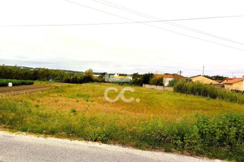 Helårsgrund i Torres Vedras, Lisbon, Torres Vedras - € 165.000 | Ref: 321/T/01226 - foto 2