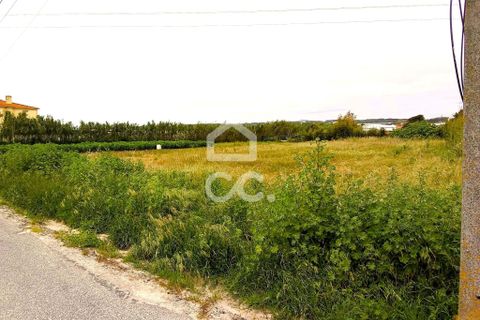 Helårsgrund i Torres Vedras, Lisbon, Torres Vedras - € 165.000 | Ref: 321/T/01226 - foto 3