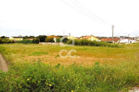 Helårsgrund i Torres Vedras, Lisbon, Torres Vedras - € 165.000 | Ref: 321/T/01226 - foto 6
