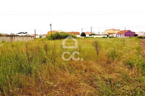Helårsgrund i Torres Vedras, Lisbon, Torres Vedras - € 165.000 | Ref: 321/T/01226 - foto 7