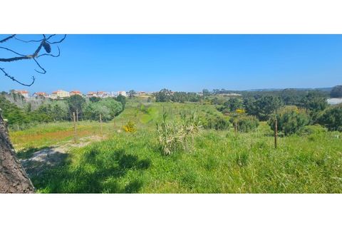 Helårsgrund i Torres Vedras, Lisbon, Torres Vedras - € 75.000 | Ref: 1989 - foto 13