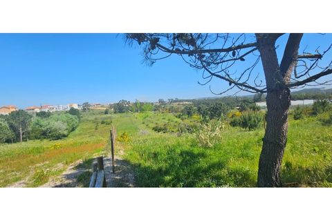 Helårsgrund i Torres Vedras, Lisbon, Torres Vedras - € 75.000 | Ref: 1989 - foto 14