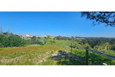 Helårsgrund i Torres Vedras, Lisbon, Torres Vedras - € 75.000 | Ref: 1989 - foto 15