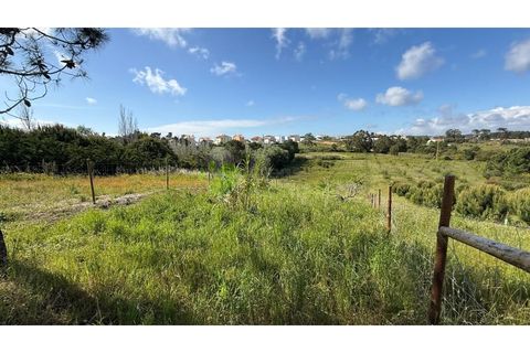 Helårsgrund i Torres Vedras, Lisbon, Torres Vedras - € 75.000 | Ref: 1989 - foto 3