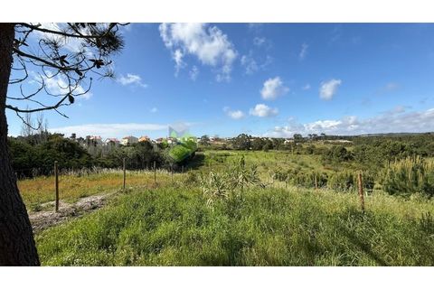 Helårsgrund i Torres Vedras, Lisbon, Torres Vedras - € 75.000 | Ref: 1989 - foto 4