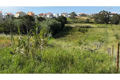 Helårsgrund i Torres Vedras, Lisbon, Torres Vedras - € 75.000 | Ref: 1989 - foto 7