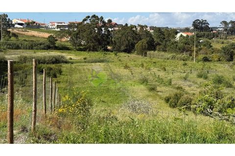 Helårsgrund i Torres Vedras, Lisbon, Torres Vedras - € 75.000 | Ref: 1989 - foto 8