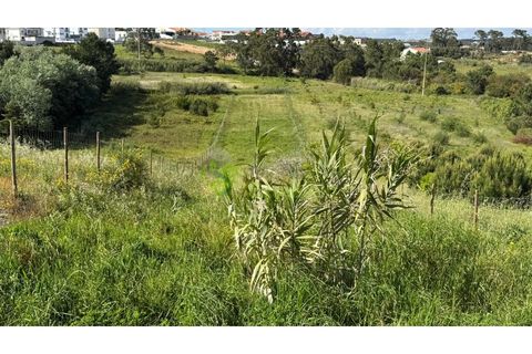 Helårsgrund i Torres Vedras, Lisbon, Torres Vedras - € 75.000 | Ref: 1989 - foto 10