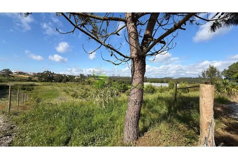 Helårsgrund i Torres Vedras, Lisbon, Torres Vedras - € 75.000 | Ref: 1989 - foto 11