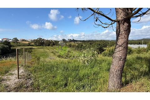 Helårsgrund i Torres Vedras, Lisbon, Torres Vedras - € 75.000 | Ref: 1989 - foto 12