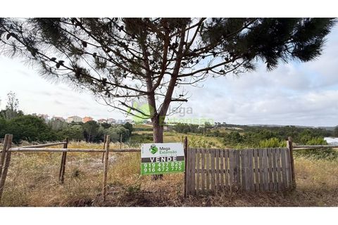 Helårsgrund i Torres Vedras, Lisbon, Torres Vedras - € 75.000 | Ref: 1989 - foto 2