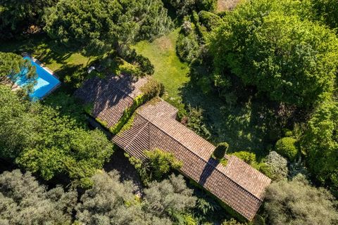 Villa i Mougins, Alpes-Maritimes, Mougins - € 1.700.000 | Ref: 85865996 - foto 12