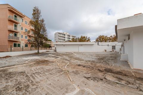 Erhvervsejendom i Capdepera, Mallorca, Capdepera - € 200.000 | Ref: 05TMNS116/3010 - foto 4