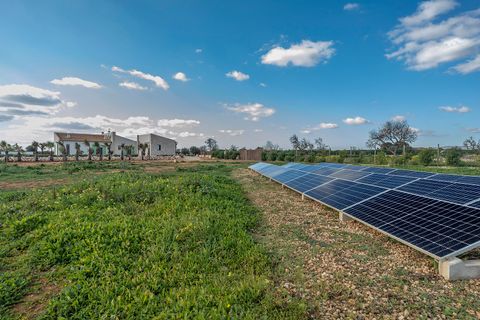 Villa i Campos, Mallorca, Campos - € 2.690.000 | Ref: FALC-MeVo-69776 - foto 27