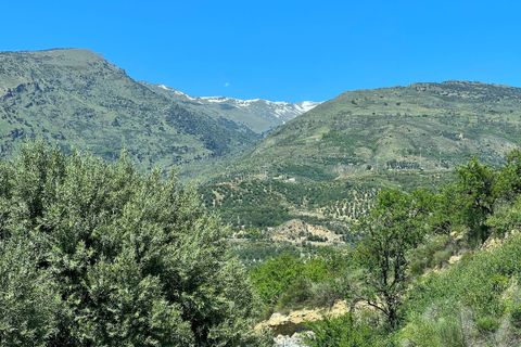 Villa a Lanjaron, Granada, Lanjaron - € 2.700.000 | Ref: R5026813 - foto 37