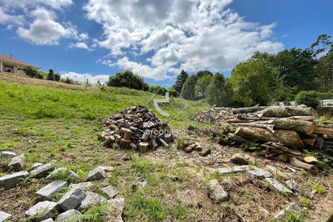 Terra a Arcos de Valdevez, Viana do Castelo, Arcos de Valdevez - € 42.500 | Ref: AV6349 - foto 10