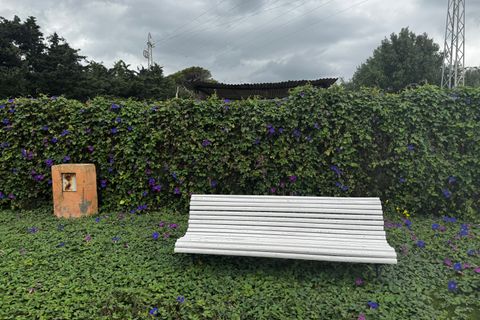 Byhus i Tarifa, Cadiz, Tarifa - € 580.000 | Ref: SPCRM3141 - foto 22