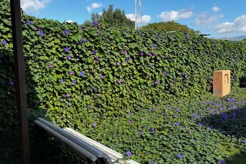 Byhus i Tarifa, Cadiz, Tarifa - € 580.000 | Ref: SPCRM3141 - foto 50