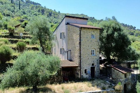 Villa i Vallebona, Imperia, Vallebona - € 495.000 | Ref: D436-486230 - foto 2