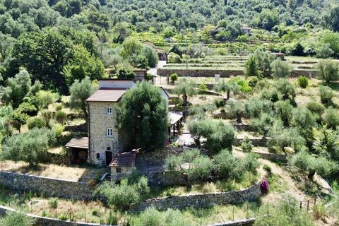 Villa i Vallebona, Imperia, Vallebona - € 495.000 | Ref: D436-486230 - foto 3